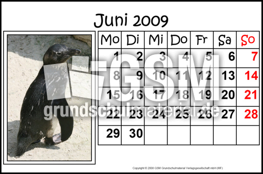 6-Juni-2009-quer.jpg
